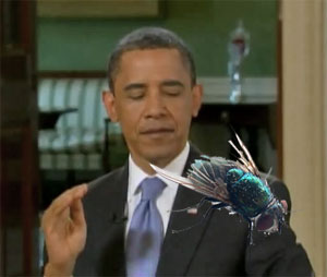 President Obama kills giant fly in self defense