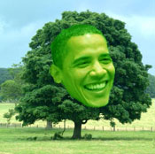 Obama tree